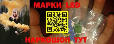 дмт Кингисепп