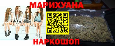 дмт Кингисепп
