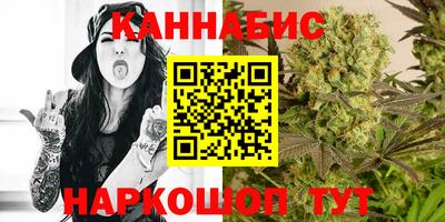 дмт Кингисепп