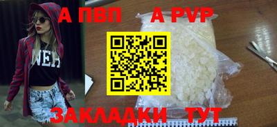 дмт Кингисепп