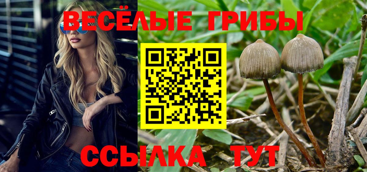 Галлюциногенные грибы Cubensis  Вход с VPN  Ярославль 